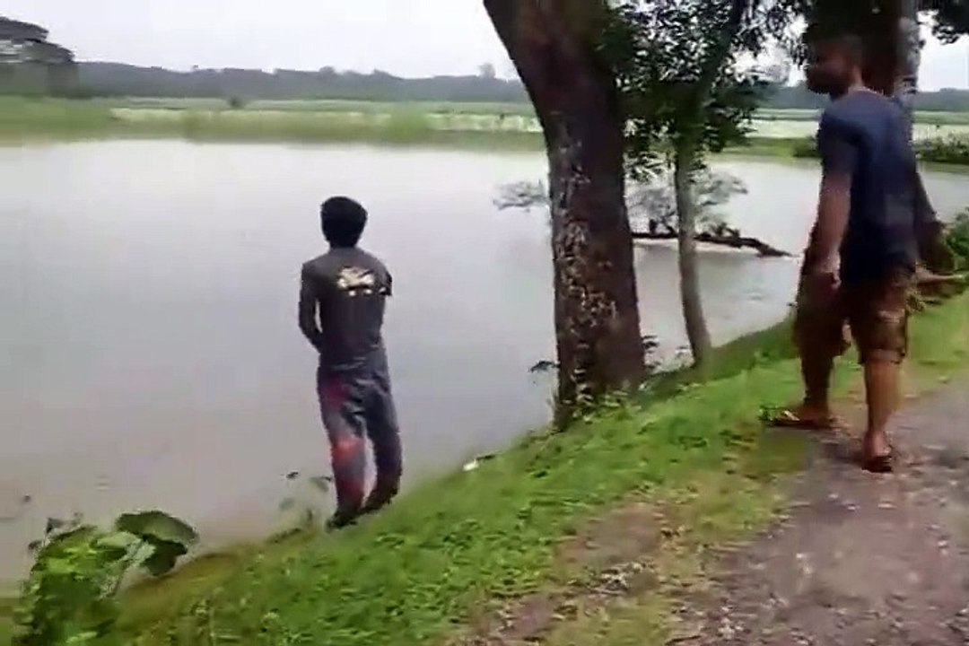 FUNNY VIDEOS COMPILATION