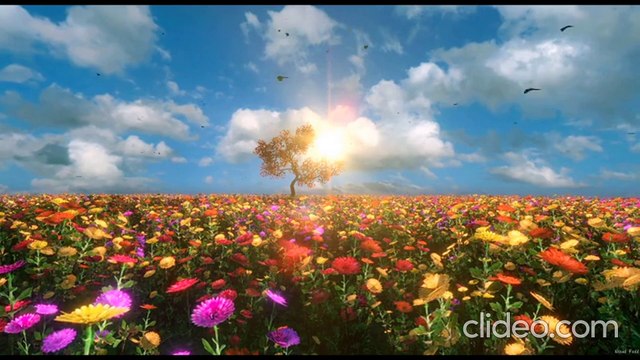 15 Minutes of Relaxing Piano Music for Stress Relief, Sleep, Study, Relax, Meditation