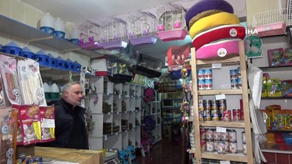 - Kafes kuşu piyasasını pandemi vurdu, fiyatlar uçtu