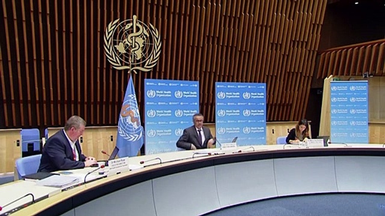 WHO-Experten dürfen zu Corona-Forschung nach China einreisen