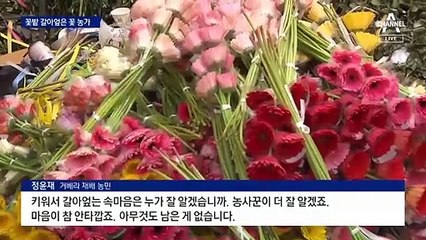“코로나가 망친 꽃 농사”…밭 갈아엎고 불태우고