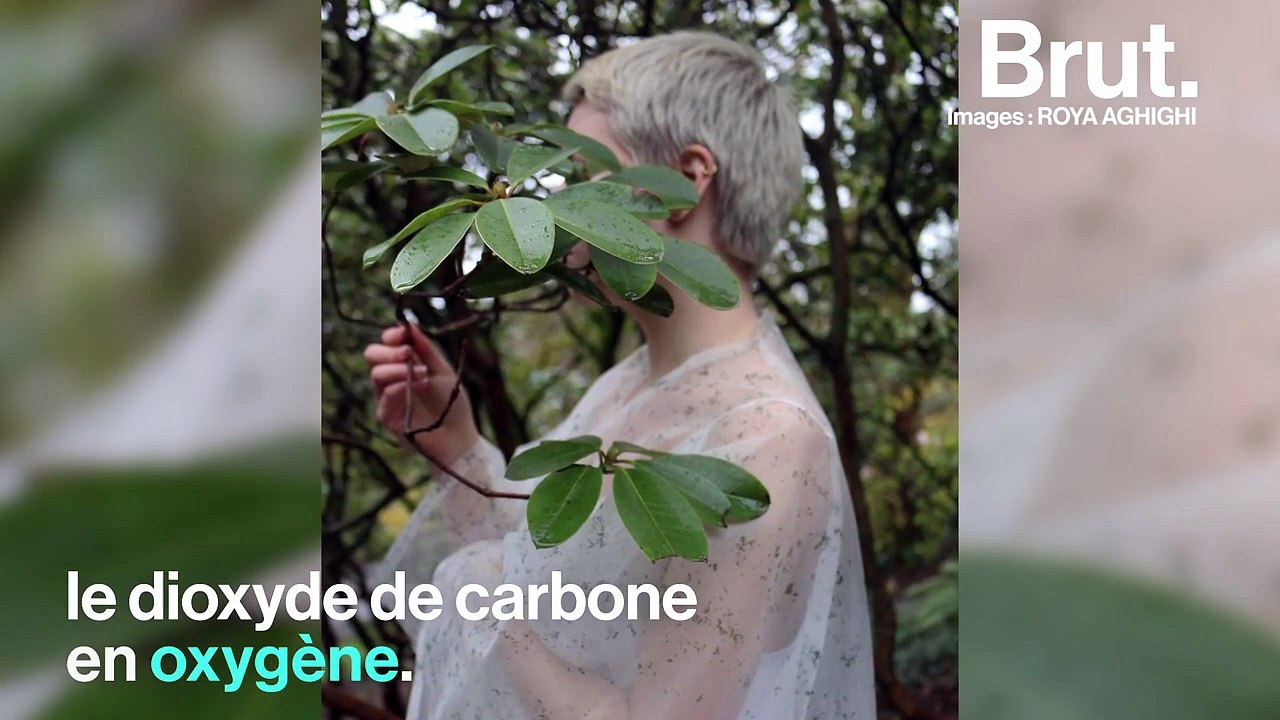 Ces vêtements transforment le dioxyde de carbone en oxygène