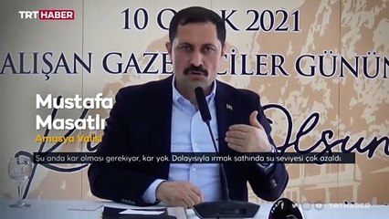 Yeşilırmak Nehri'nde balık ölümleri arttı