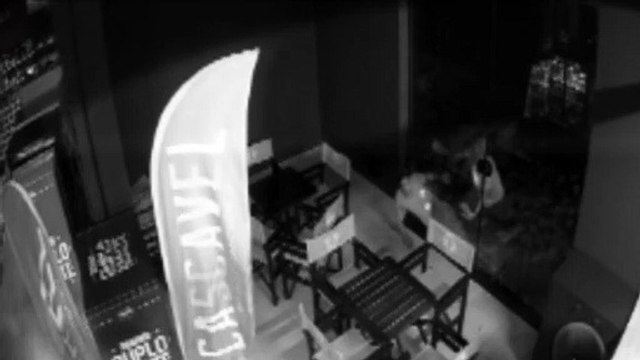 Câmera mostra ladrões deslocando porta de vidro para cometer furto em empresa no Centro