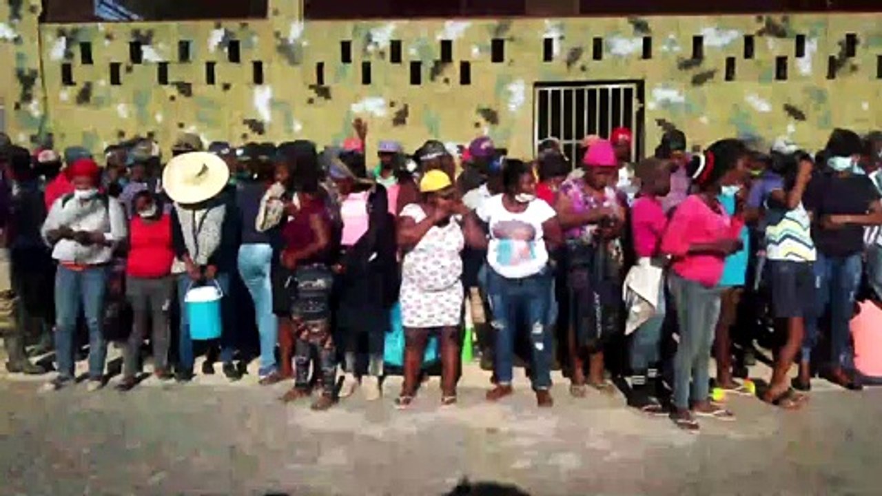 Agricultores se quejan Migración deporte haitianos trabajan en sus fincas