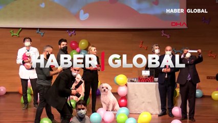 Ankara'da ses telleri kesilen 20 köpek sahiplendirildi