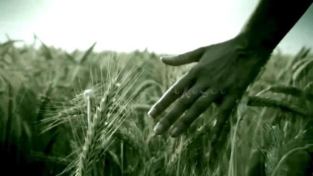 MOU STOIXIZEI - FOR DENNIS (DEEJAY ANDONI EDIT 2021)