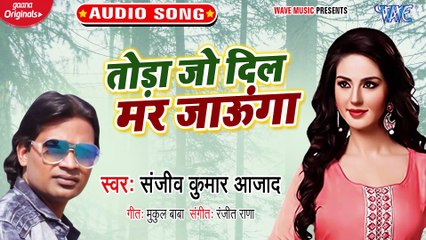 Toda Jo Dil Mar Jaunga - Toda Jo Dil Mar Jaunga - Sanjeev Kumar Azad