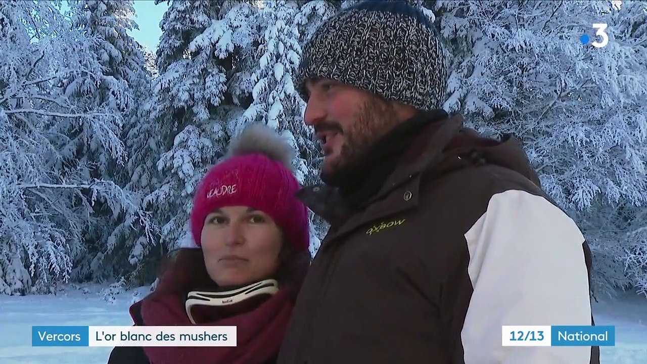 Vercors : les balades en chien de traîneau ont la cote