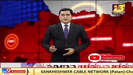 Rajkot_ 8 lapwings found dead on Bhadar river bank in Gondal, sent for testing of bird flu_ N13