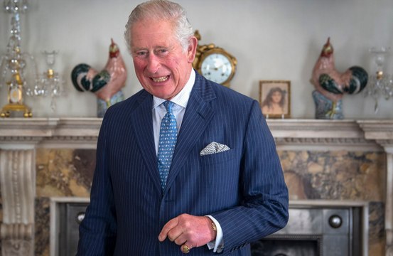 Prince Charles launches Terra Carta sustainability initiative