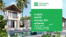 Crypto world money 25 × scheme