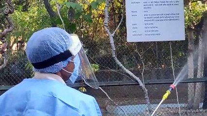जयपुर जू में बर्ड फ्लू की दस्तक: चार पक्षियों की मौत