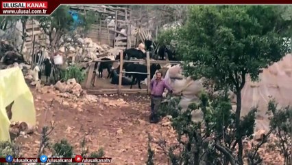 Geyikbayırı Dağları'nda birkaç sürü kaldı