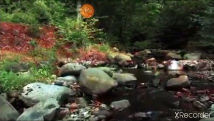 هذا المقطع العلاج الوافي الكافي للامراض