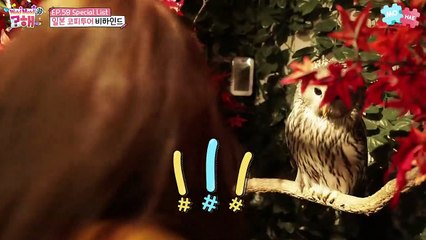 [SUB.ESPAÑOL] Weki Meki Mohae? EP58-60
