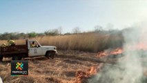 tn7-mas-de-mil-trescientas-hectareas-de-zonas-protegidas-afectadas-por-fuego-110121