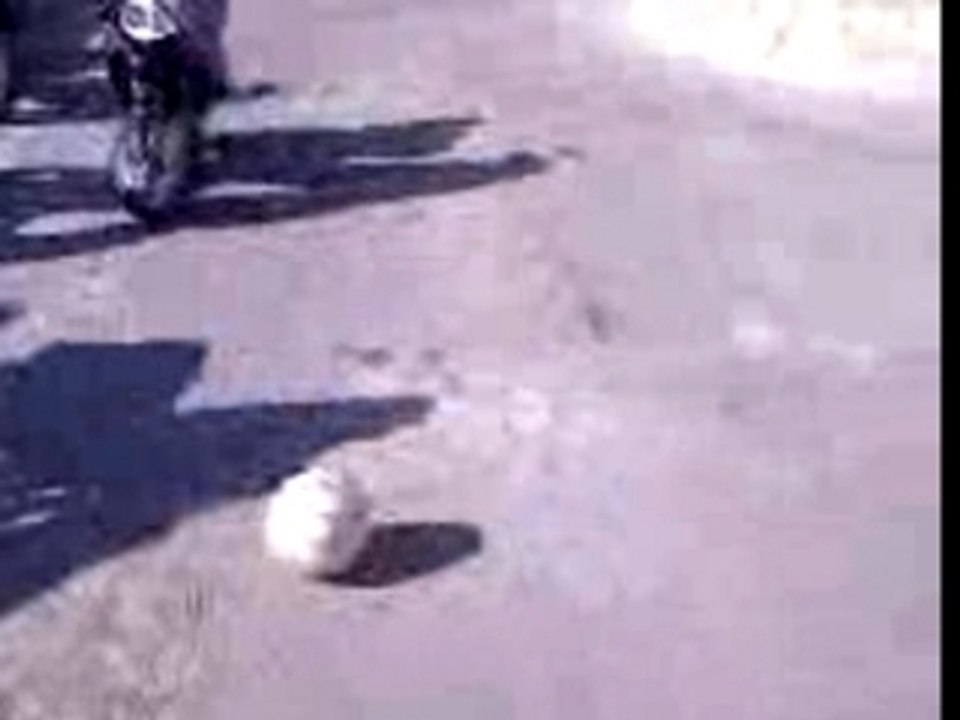 Vidéo0003