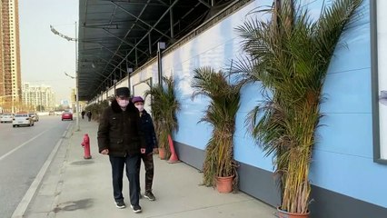 Un año después de la primera muerte en China, el origen del virus sigue siendo una incógnita