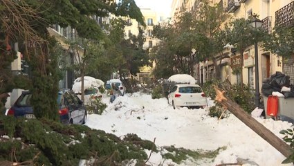 Madrid residents dig out after record-breaking snowstorm