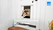 This $3,000 smart dog door opens automatically