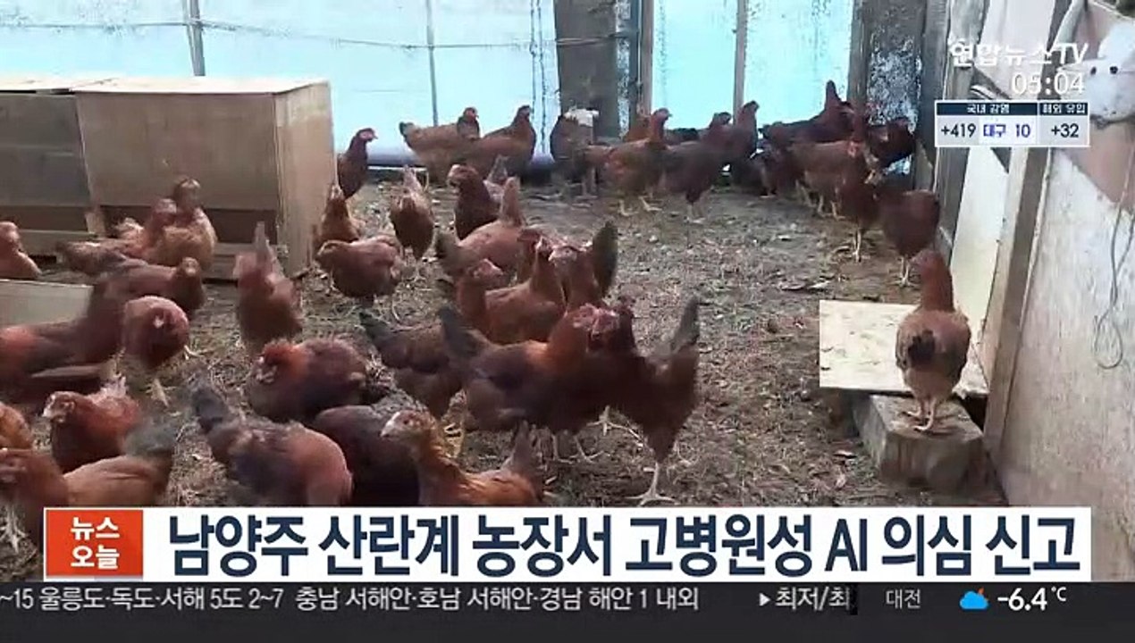 남양주 산란계 농장에서 고병원성 AI 의심 신고