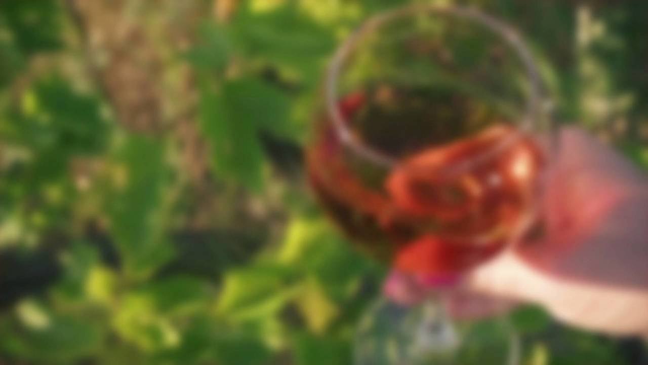 Low-Alcohol Wines to Sip This Not-So-Dry January