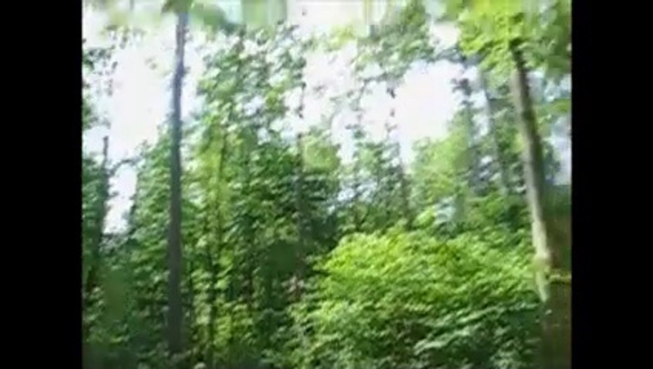 Vorboten für ein Gewitter Mittwoch01.Juni2011 Video Nummer2