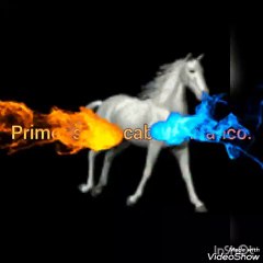 PRIMER SELLO HA SIDO ABIERTO [BActClkEMiI]