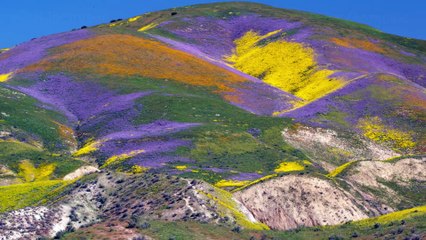 Our Planet S01E05 - From Deserts to Grasslands