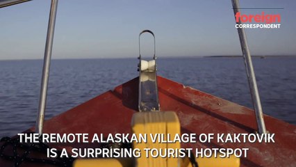 Polar bear tourism in the Alaskan wilderness