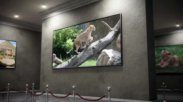 Exposition Terre des lions du ZooParc de Beauval - Land of the lions exhibition at Beauval ZooParc