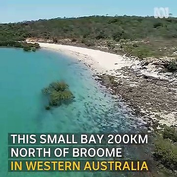 Setting foot on Australian soil in 1688