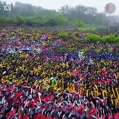 Sea of bikes dumped in China