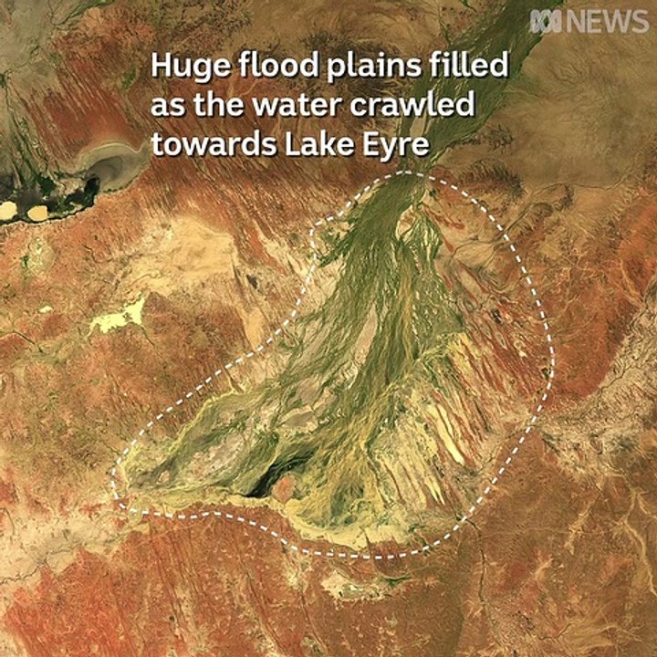 The lake seen from space