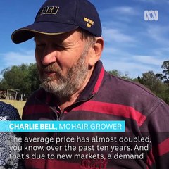 Goat mohair hits a new Australian sale record