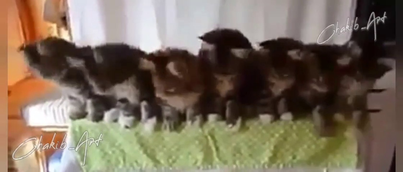 Rap#rap #hiphop #music #rapper #trap #beats #rapmusic #Artist #love #producer #newmusic #hiphopmusic #freestyle #rappers #soundcloud #art #explorepage #spotify #follow #Youtube #dj #like #trapmusic #rnb #hiphop #bhfyp #beat #musicproducer #musician #bhfyp