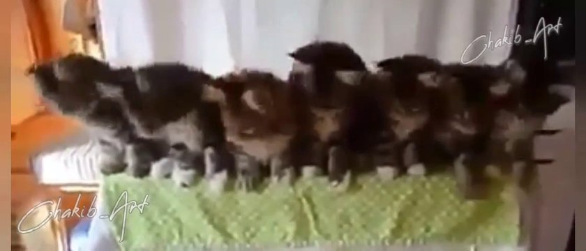 Rap#rap #hiphop #music #rapper #trap #beats #rapmusic #Artist #love #producer #newmusic #hiphopmusic #freestyle #rappers #soundcloud #art #explorepage #spotify #follow #Youtube #dj #like #trapmusic #rnb #hiphop #bhfyp #beat #musicproducer #musician #bhfyp