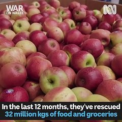 Interest spikes in food rescue