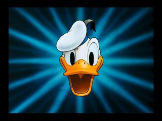 Canvas Back Duck 1953