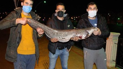 Polis ‘zehirli olabilir’ diye uyardı ama onlar fenerle aydınlatıp balık tuttu