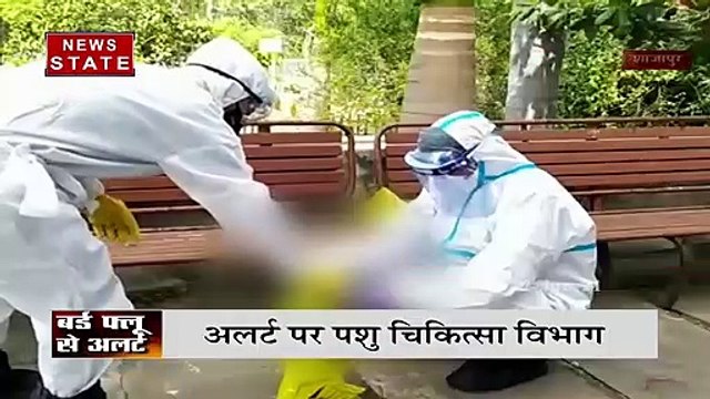 Madhya Pradesh: शाजापुर में बर्ड फ्लू का कहर, बनाया गया कंट्रोल रूम