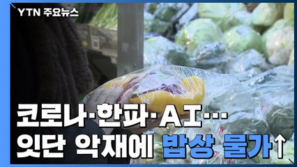 '코로나19·한파·AI' 악재에...손 떨리는 '밥상 물가' / YTN