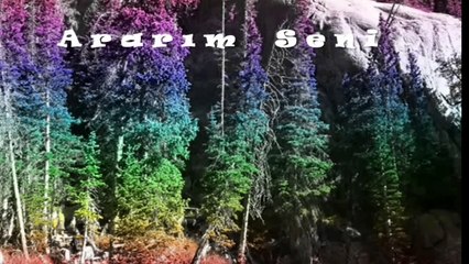 ARARIM SENİ** Seslendiren** Video Klip** Aynur AVCI