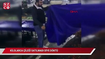 Kilolarca çileği 'satılmadı' diye döktü