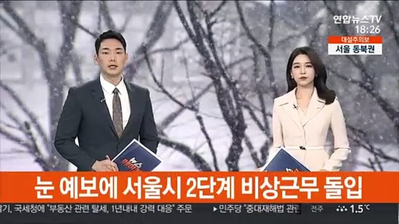 눈 예보에 서울시 2단계 비상근무 돌입