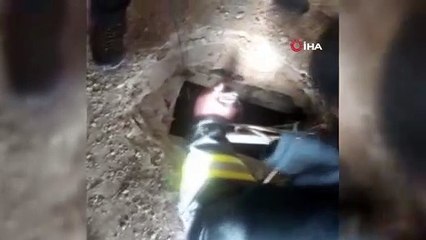 Fosseptik çukuruna düşen yavru köpekler kurtarıldı