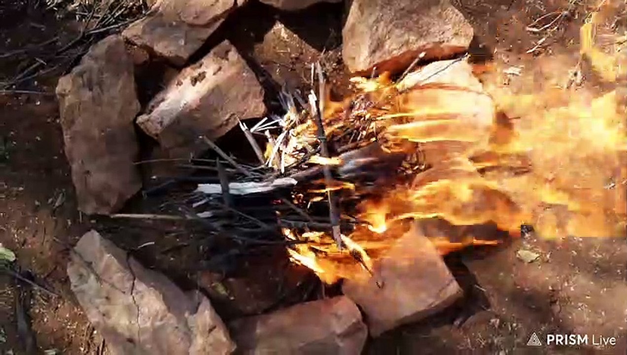 Bushveld cooking with biltong