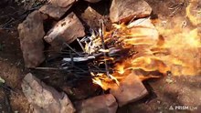 Bushveld cooking with biltong