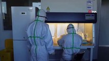 Almanya İçişleri Bakanı Seehofer'den umutlandıran aşı açıklaması